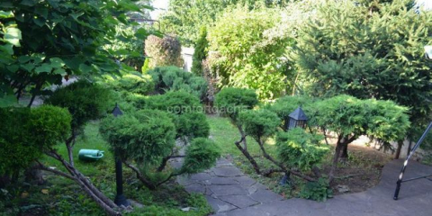 Jak udělat kamenné stopy v zemi to udělat sami